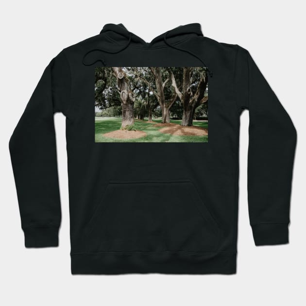 Avenue of the Oaks Hoodie by LindsayVaughn